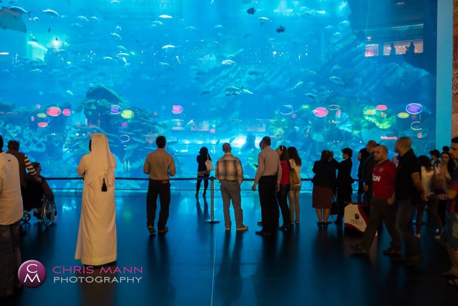 Dubai Aquarium - world's biggest sheet of acrylic World's biggest piece of acrylic at the Dubai Aquarium