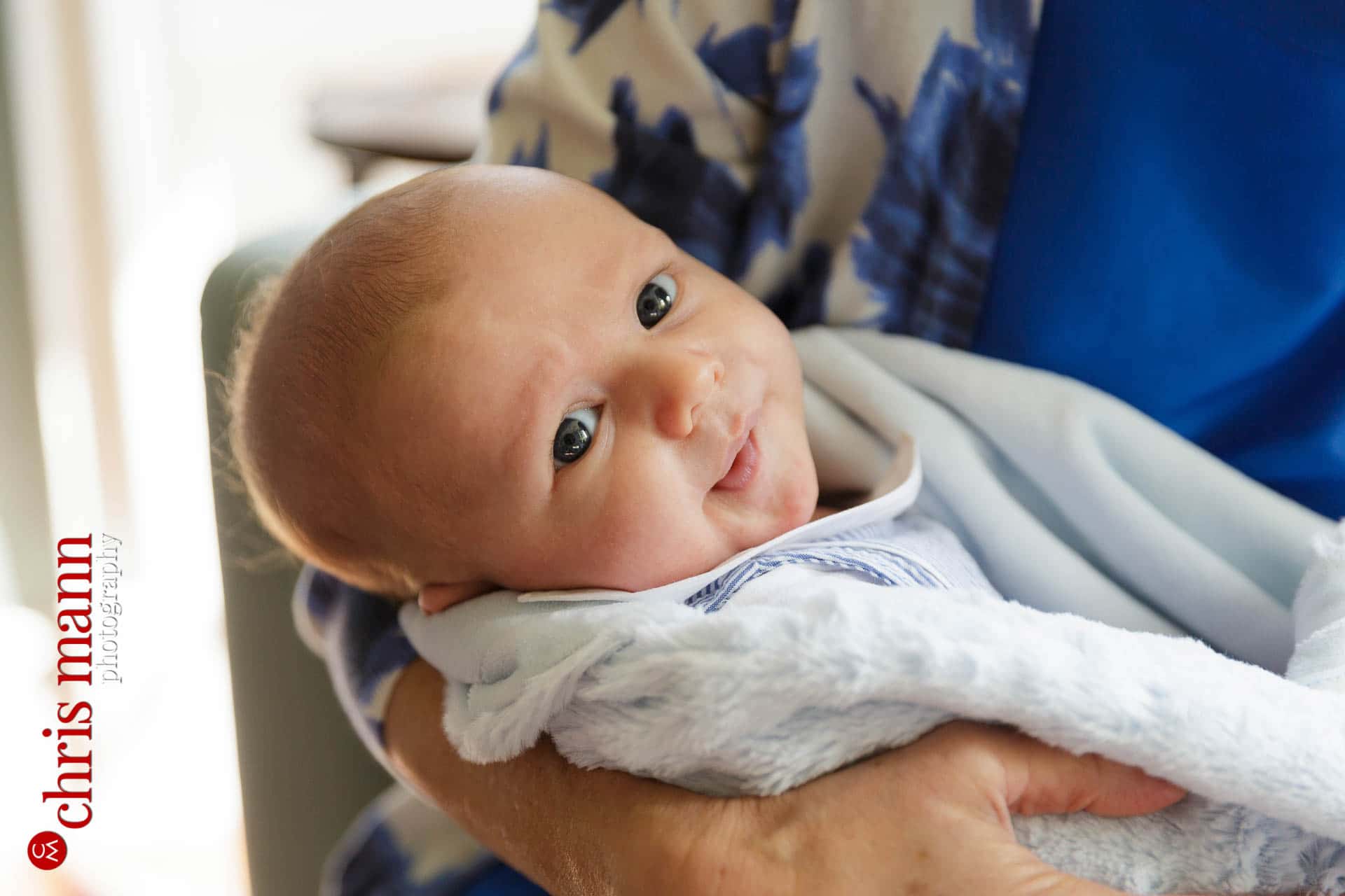 newborn baby portrait